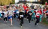 _c6v1560_1000.jpg - 