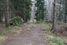 _c6v2282_900.jpg - 