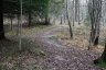 _c6v2286_900.jpg - 