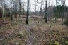 _c6v2288_900.jpg - 