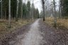 _c6v2291_900.jpg - 