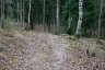 _c6v2314_900.jpg - 