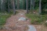 _c6v2333_900.jpg - 