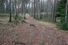 _c6v2335_900.jpg - 