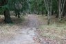 _c6v2337_900.jpg - 