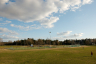 _c6v8249_1000_RAW.jpg