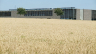 bornholm_039_900.jpg