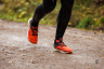 10km_1447_8408.jpg