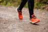 10km_1447_8412.jpg