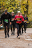 10km_1451_8693.jpg