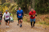 10km_1501_9369.jpg