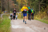 10km_1509_9808.jpg