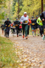 10km_1412_4968-Web.jpg